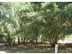 2929 Lavington Rd, Dundee Downs NT 0840