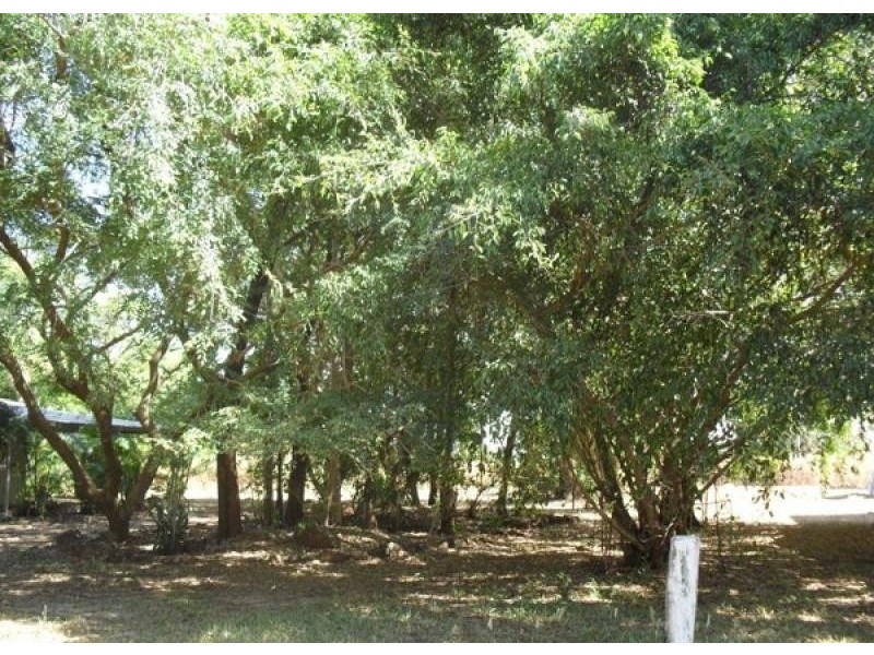 2929 Lavington Rd, Dundee Downs NT 0840