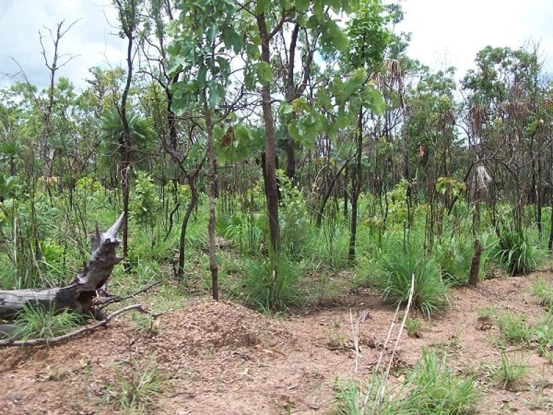 265 Litchfield Park Road, Batchelor NT 0845