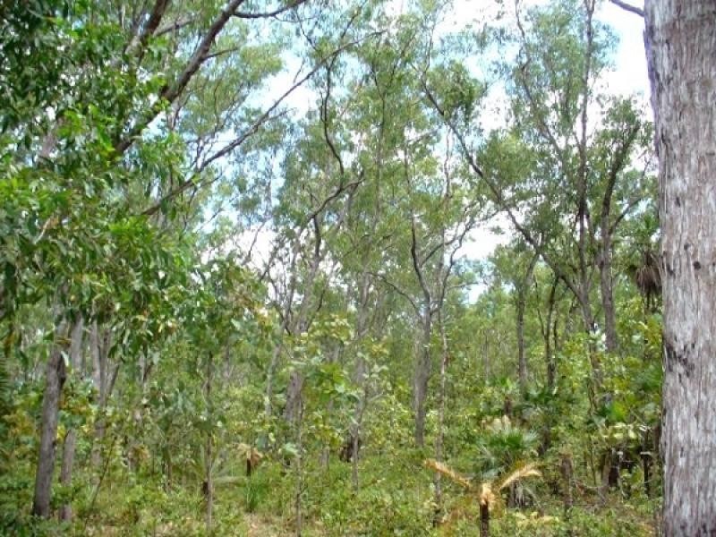 Section 3631 Fog Bay Road, Dundee Downs NT 0840