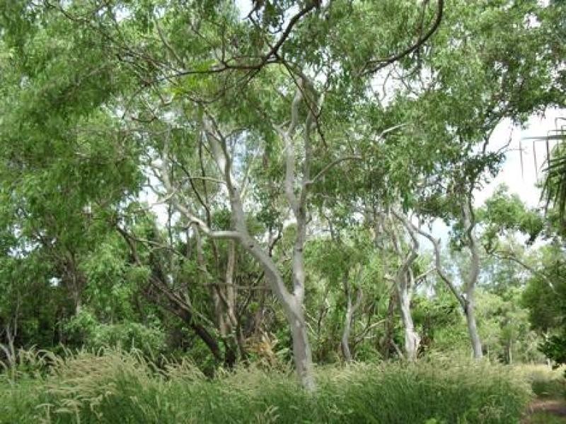 3768 Marege Drive, Dundee Beach NT 0840