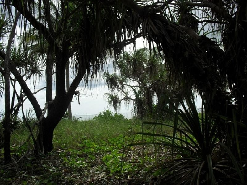 3768 Marege Drive, Dundee Beach NT 0840