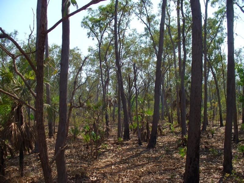 3068 Namarada Drive, Dundee Beach NT 0840