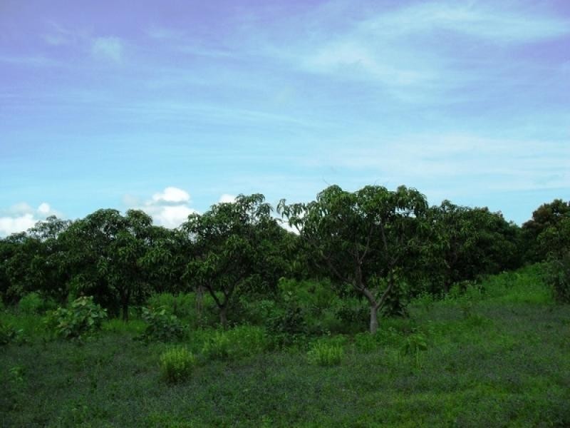 Section 2941 Fog Bay Road, Dundee Downs NT 0840