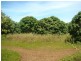 3028 Arius Road, Dundee Downs NT 0840