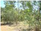 3028 Arius Road, Dundee Downs NT 0840