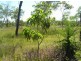 2949 Serrata Road, Dundee Downs NT 0840