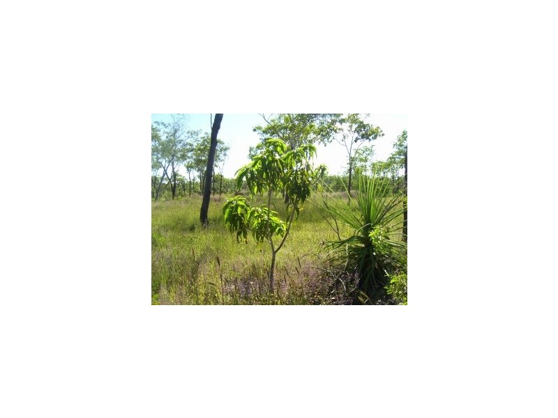 2949 Serrata Road, Dundee Downs NT 0840