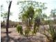 2949 Serrata Road, Dundee Downs NT 0840