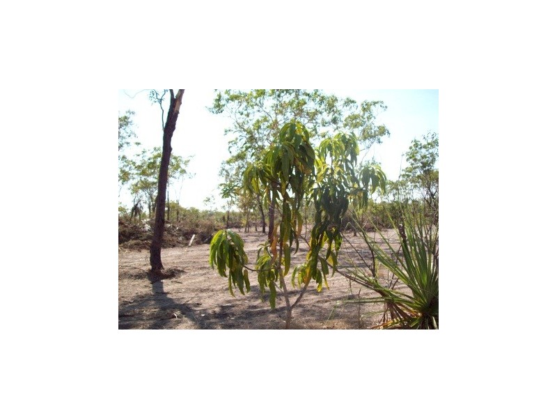 2949 Serrata Road, Dundee Downs NT 0840