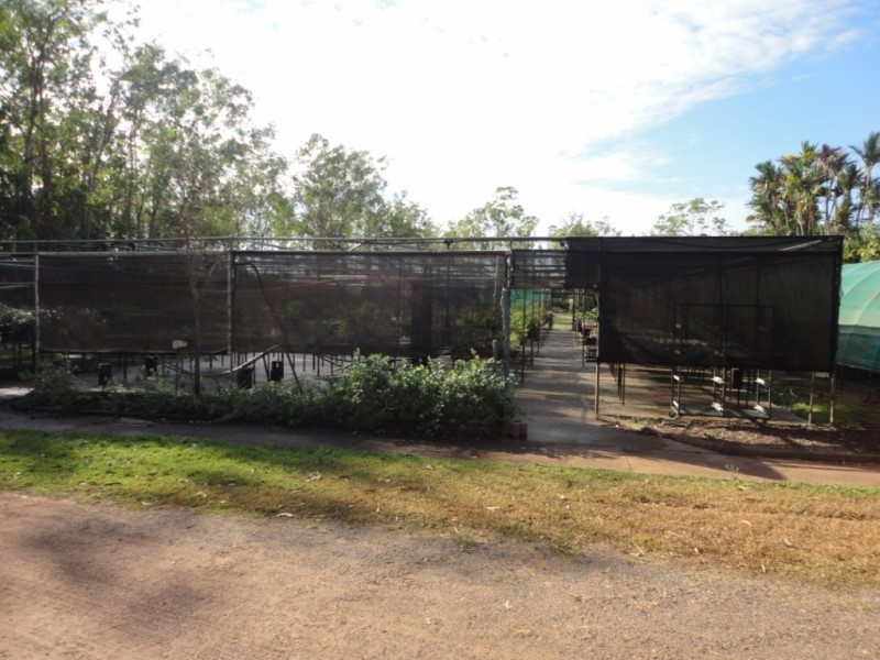 125 Thorak Road, Knuckey Lagoon NT 0828
