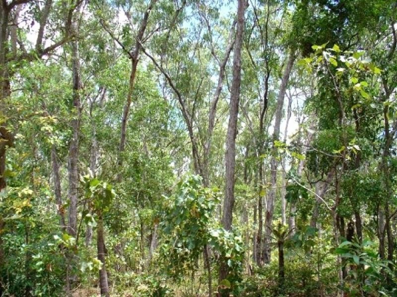 Section 3631 Fog Bay Road, Dundee Beach NT 0840