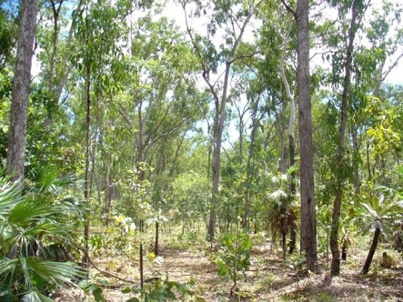 Section 3631 Fog Bay Road, Dundee Beach NT 0840