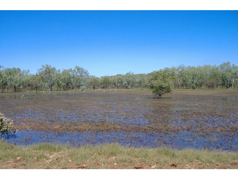 Daly River Mango Farm, Daly River NT 0822 the real estate agency