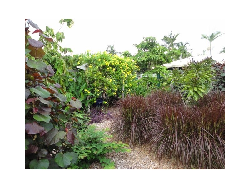 4 Marrakai Street, Tiwi NT 0810