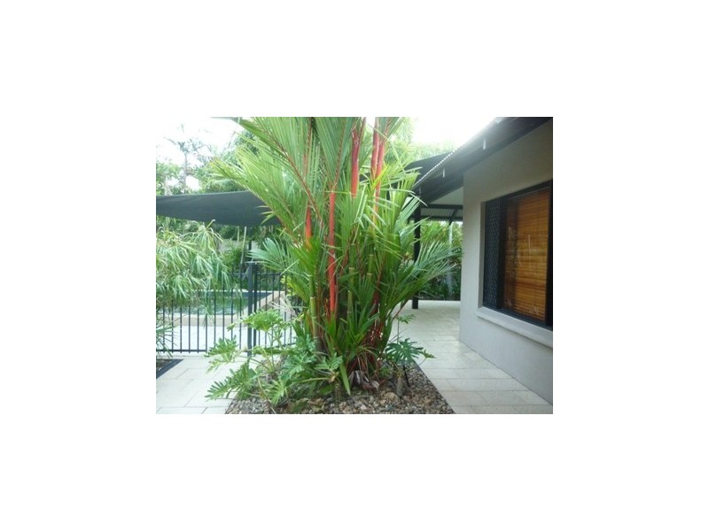 4 Camilla Place, Parap NT 0820