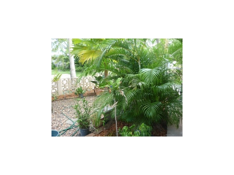 3/14 Melville Street, The Gardens NT 0820