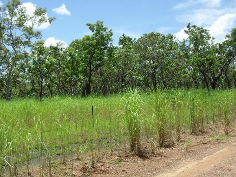 534 Mocatto Road, Acacia Hills NT 0822