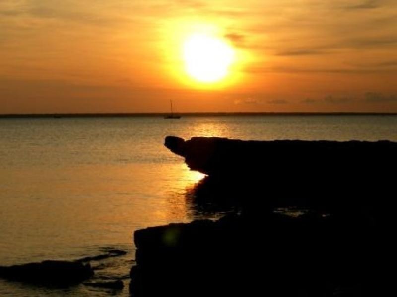 9/8 Banyan Street, Fannie Bay NT 0820