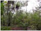 340 Girraween Road, Mcminns Lagoon NT 0822