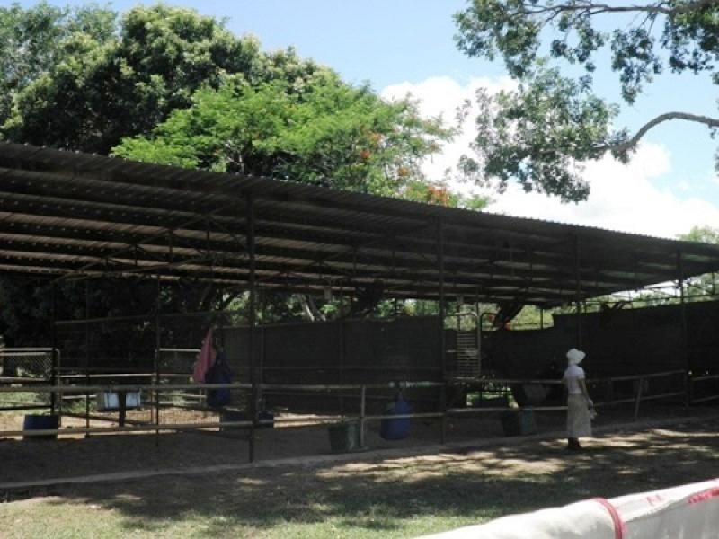 310 Lowther Road, Virginia NT 0822