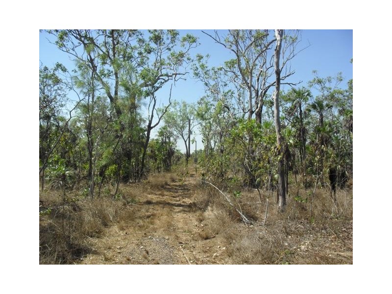 Section 3484 Fog Bay Road, Dundee Downs NT 0840