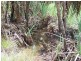265 Litchfield Park Road, Batchelor NT 0845