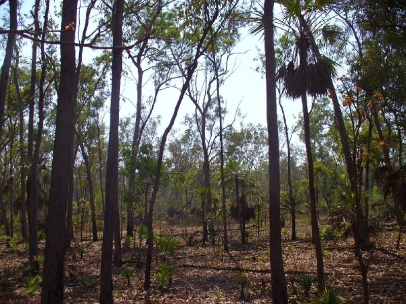 3068 Namarada Drive, Dundee Beach NT 0840