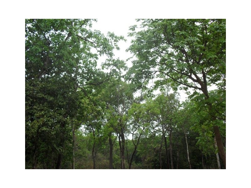 Section 3789 Marege Drive, Dundee Beach NT 0840