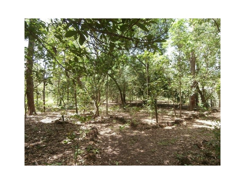 Sect. 2893 Dundee Road, Dundee Downs NT 0840