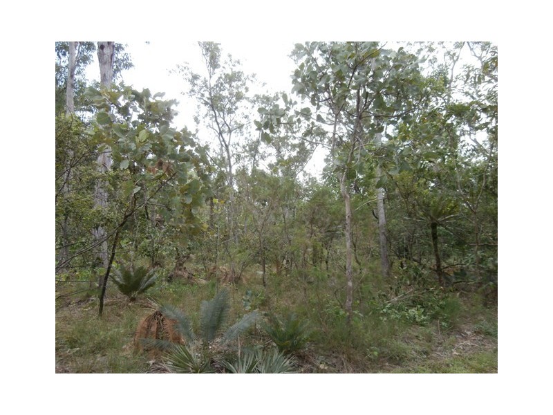 Sect. 2893 Dundee Road, Dundee Downs NT 0840