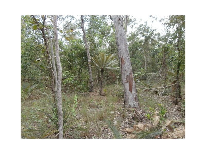 Sect. 2893 Dundee Road, Dundee Downs NT 0840