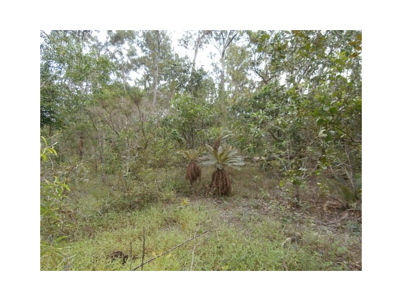 Sect. 2893 Dundee Road, Dundee Downs NT 0840