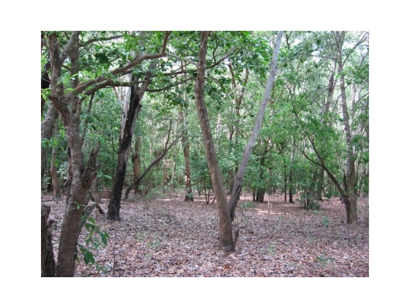 Section 9 Hundred of Milne, Dundee Downs NT 0840