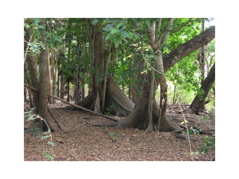 Section 9 Hundred of Milne, Dundee Downs NT 0840