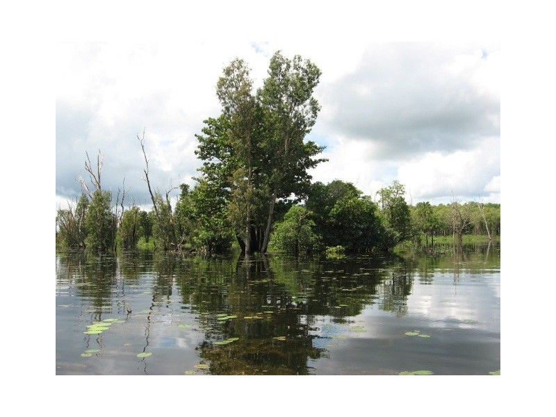 Section 9 Hundred of Milne, Dundee Downs NT 0840