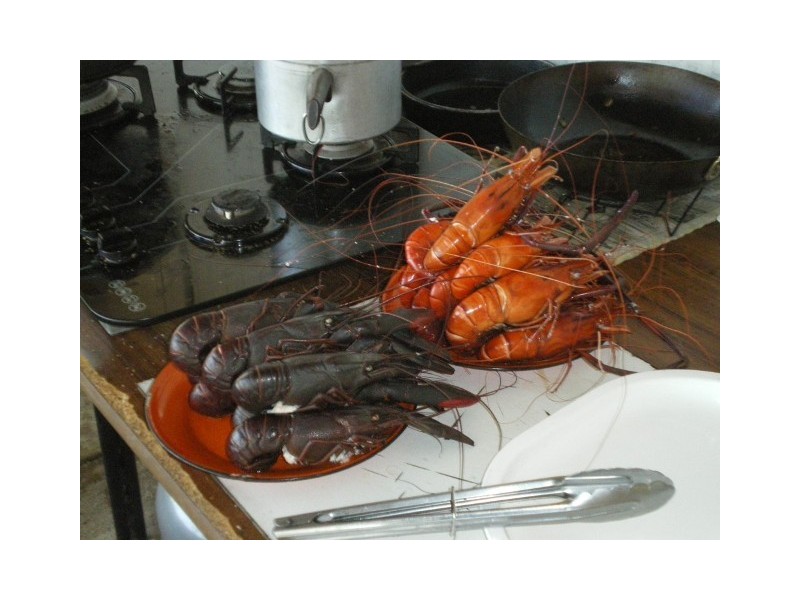 Section 9 Hundred of Milne, Dundee Downs NT 0840