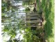 15 Paqualin Road, Malak NT 0812