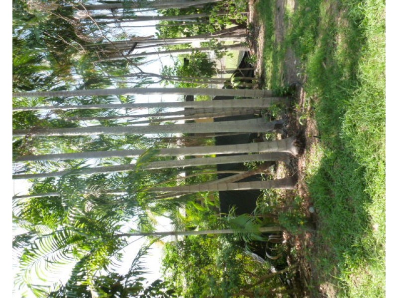15 Paqualin Road, Malak NT 0812