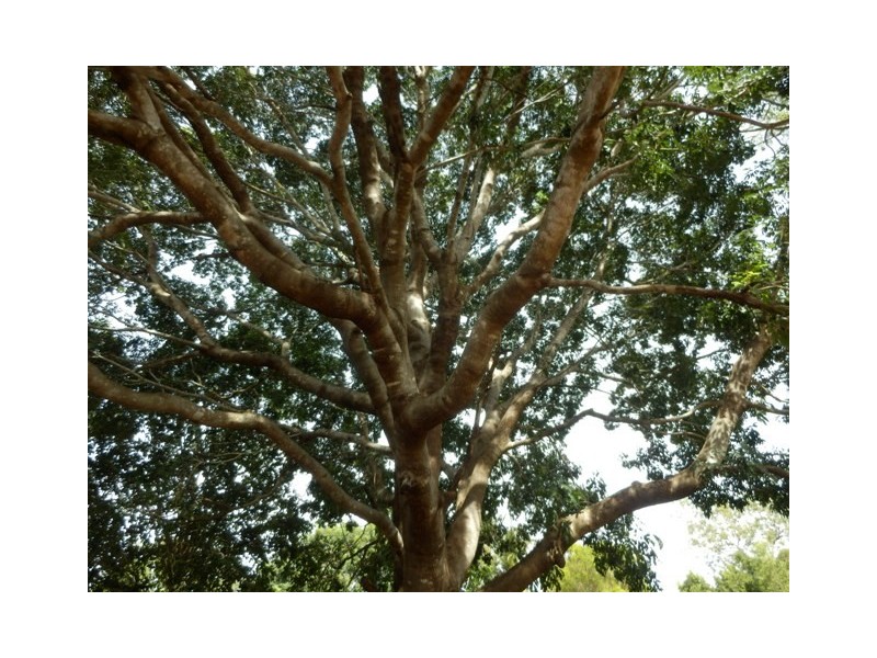 Section 3032 Arius Road, Dundee Downs NT 0840