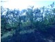 3402 Koonakarra Road, Dundee Beach NT 0840