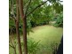 8 Dioctitis Street, Wanguri NT 0810