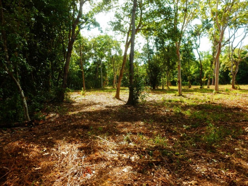 Section 3850 Marege Drive, Dundee Beach NT 0840