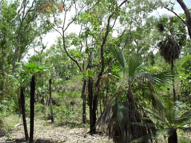 Section 3758 Launceston Road, Dundee Beach NT 0840