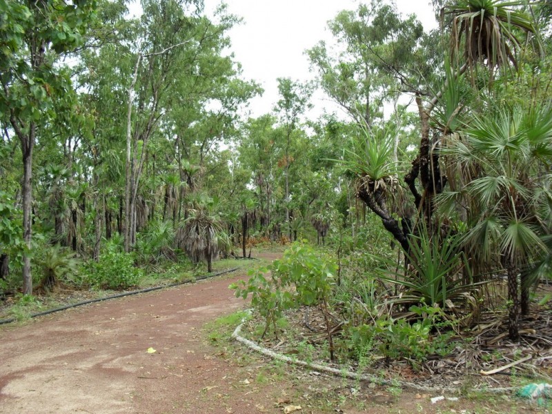 Section 3758 Launceston Road, Dundee Beach NT 0840