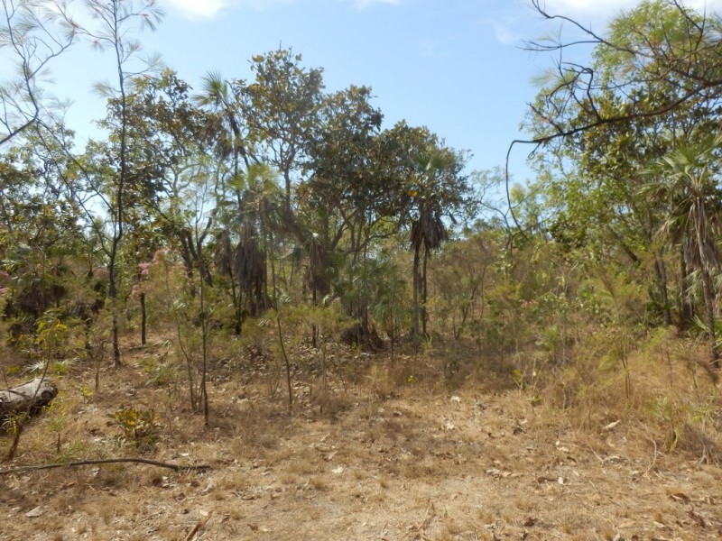Section 82 Gee Road, Bynoe Harbour NT 0822