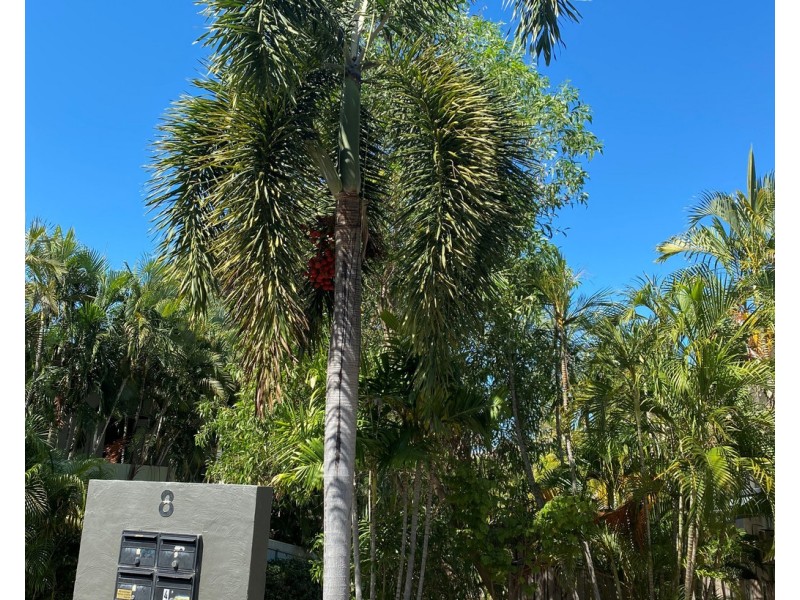 4/8 Gardens Hill Crescent, The Gardens NT 0820