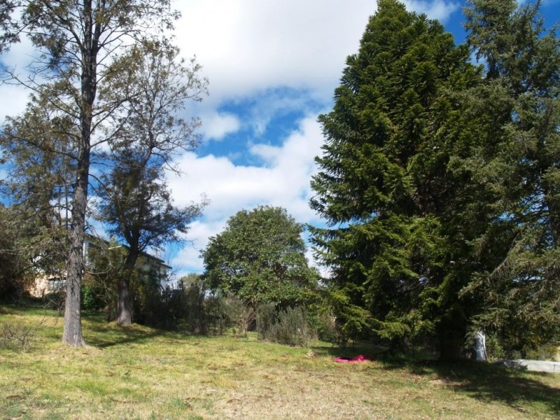26 Bega St, Candelo NSW 2550