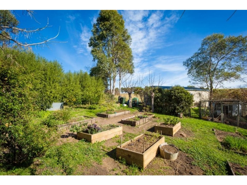 108 Tantawangalo Mtn Rd, Candelo NSW 2550