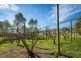 108 Tantawangalo Mtn Rd, Candelo NSW 2550